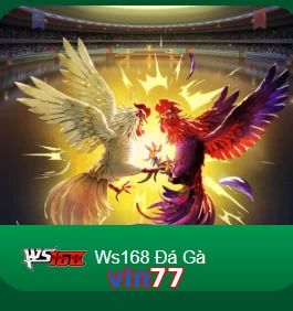 vin77